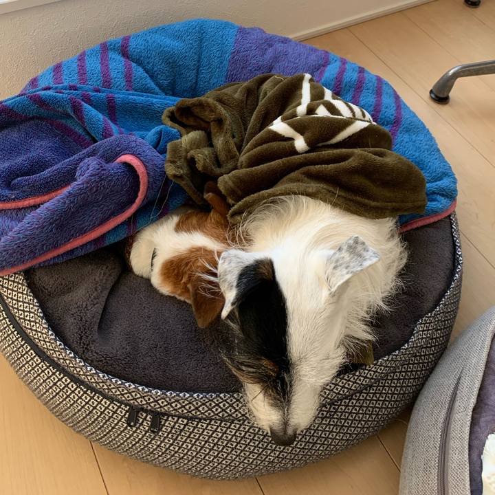 0cc0c671 c927 462e 9ed9 79d17589227e 1641510575269