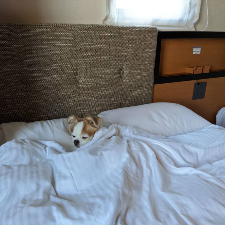 0cc0eb19 10e3 4108 a51e e865f4cd1e08 1668143213468