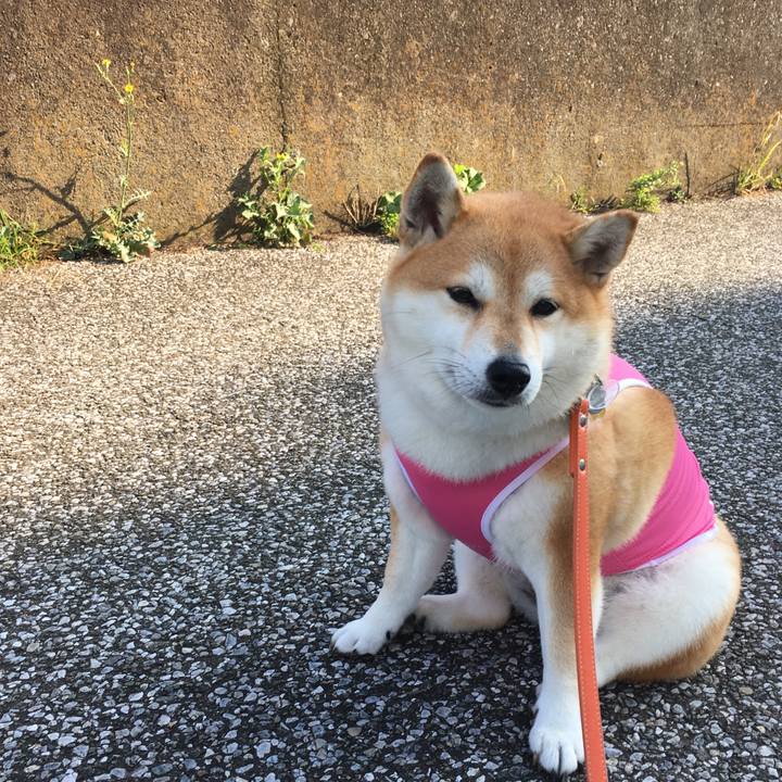 0cc0f294 f82e 4887 9d95 10d8a860459f 1566689639682