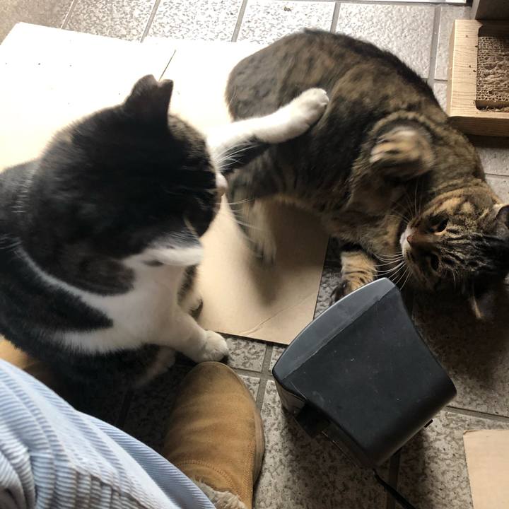 0cc0f47e 19e0 4146 a4f7 6a4995558c55 1606872083946