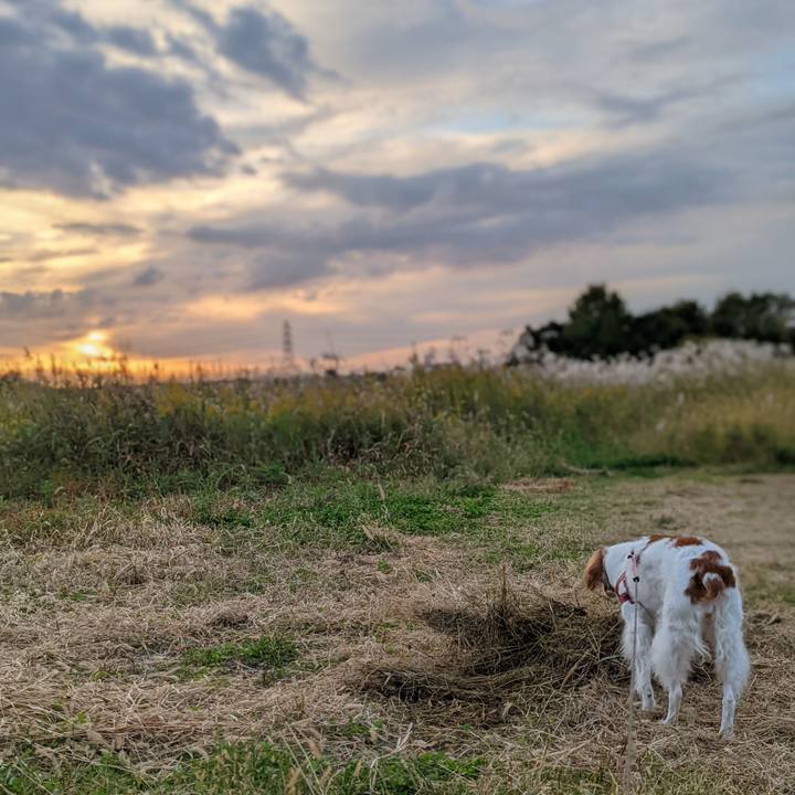 0cc0fdb8 5a6e 4cfe 987b caeebeaeda64 1635593734037