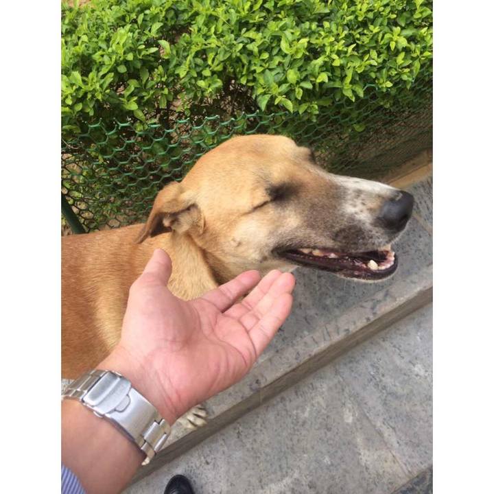 0cc119d3 2022 42f5 a059 b0f6fb6c7463 1521844639511