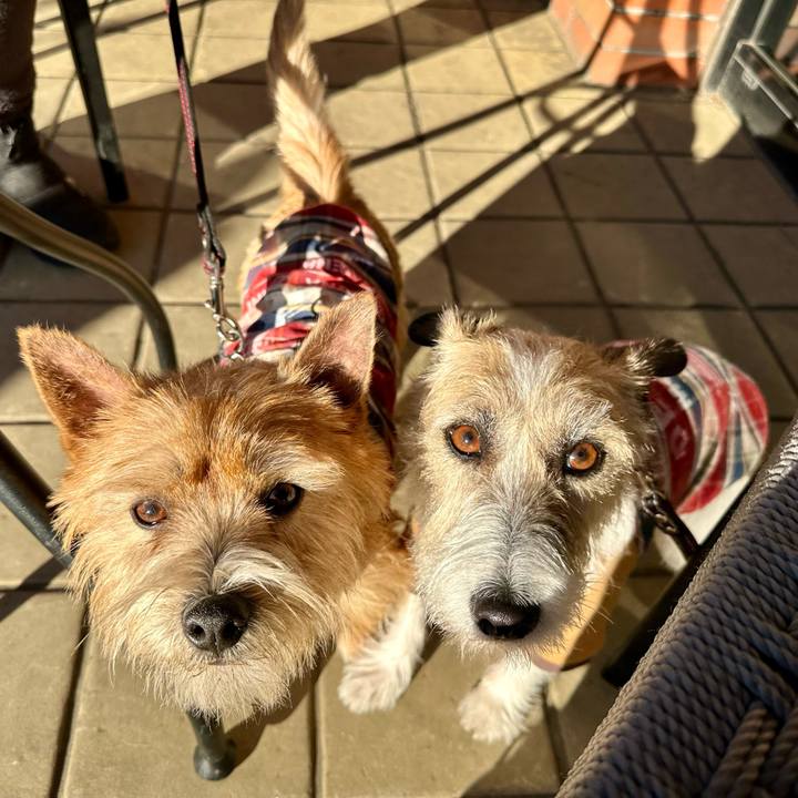 0cc12084 c2b2 4591 82c9 9bc40b7b390f 1735997457211