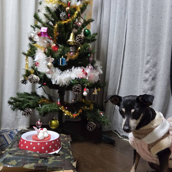 0cc13f69 b4b2 4636 a769 e20d057353af 1766614885664