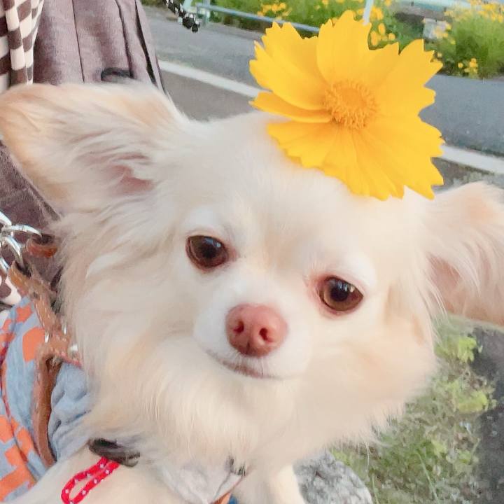 0cc1626f dbf7 4017 a3b1 47399d1d6f1c 1715939156753