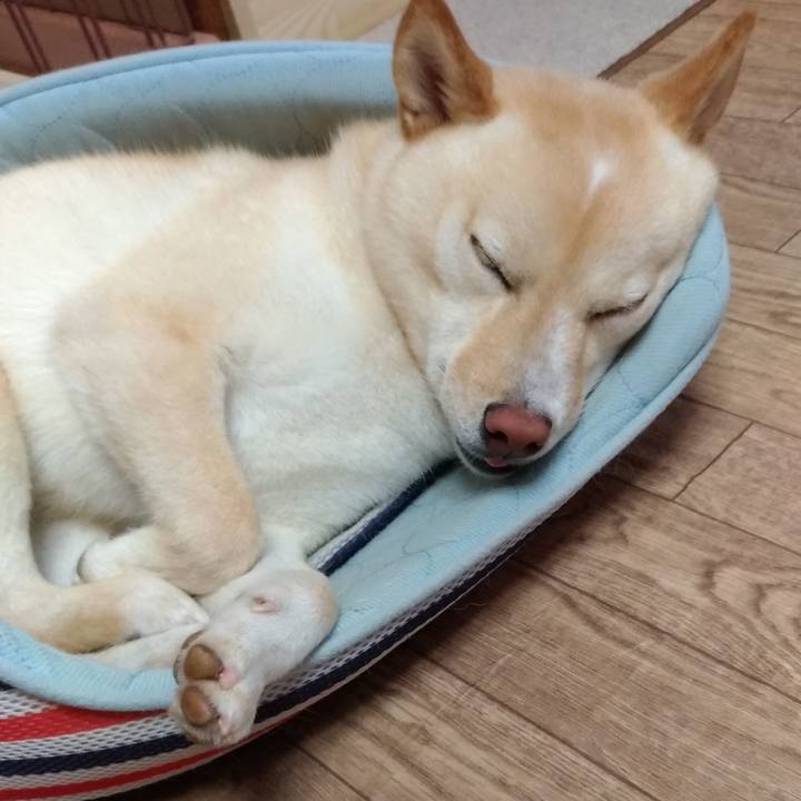 0cc18062 e7aa 40a4 aa3b aecd0f6fbc80 1563531131206