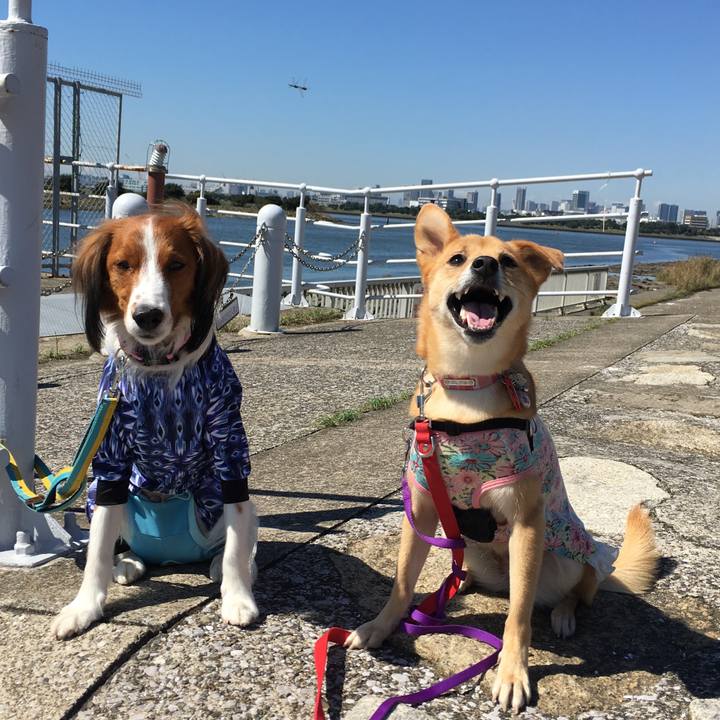 0cc1b825 73ab 478c 9c54 e8d807ab87db 1538138963085