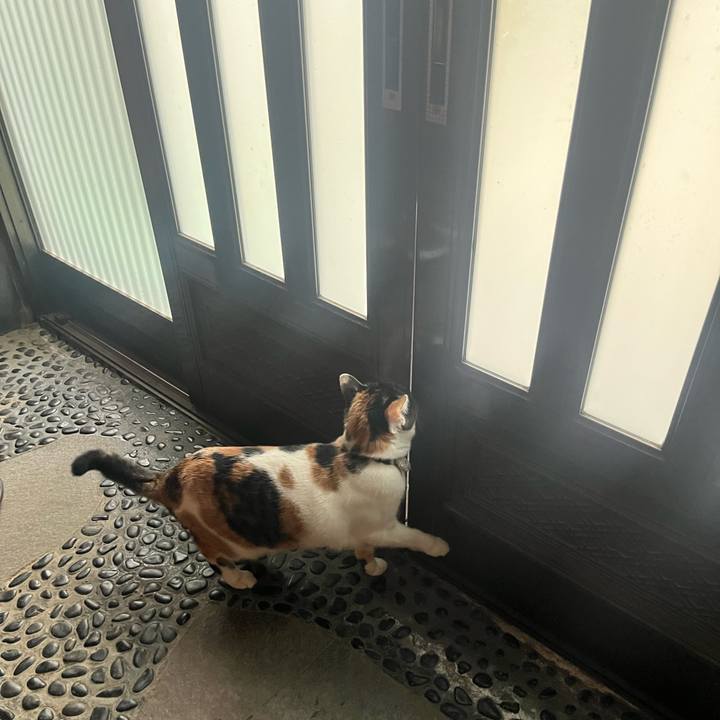 0cc1ecc5 f2bb 4c85 bf3d 9879d997fb31 1769062060622