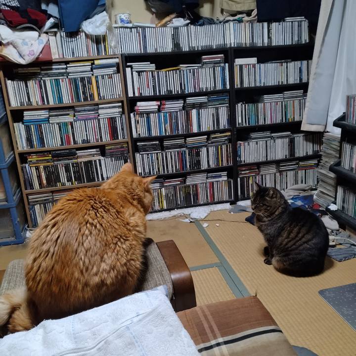 0cc279f0 586d 4381 852b 399c13775cd1 1769505315024