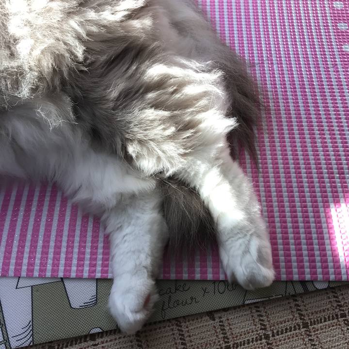 0cc2d1b4 317f 460c b018 6476897d1c98 1509672238086