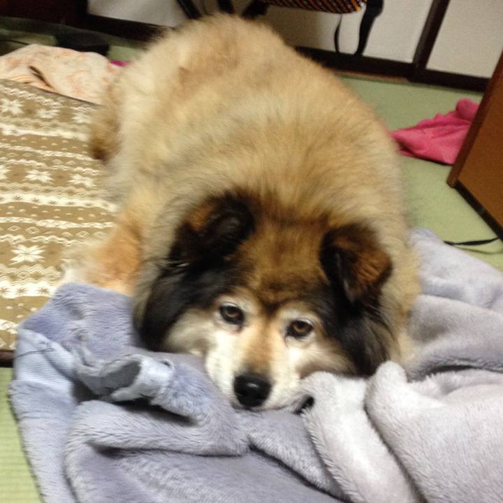 0cc2d531 342e 4750 a369 e0b8f8312af3 1549219761316