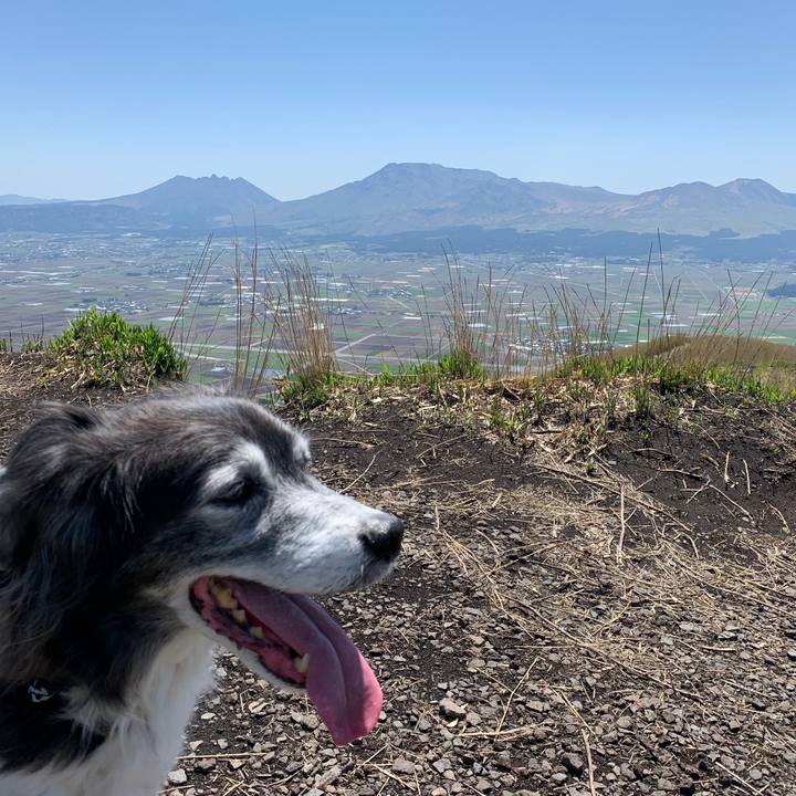 0cc347be ba24 45a9 9800 dff4e46319f3 1618916402760