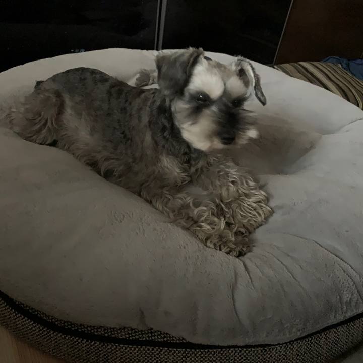 0cc37588 c9cf 4cbf 9267 00ccb0c3bdfd 1647761499802