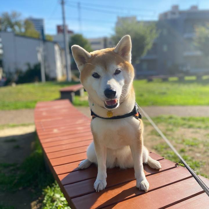 0cc381f8 bc22 4312 b3d5 f39960a13d41 1632886204624