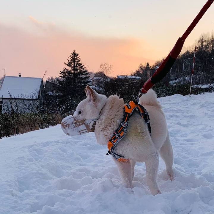 0cc3a349 d082 41cc b098 93336aafb2b7 1669934316594