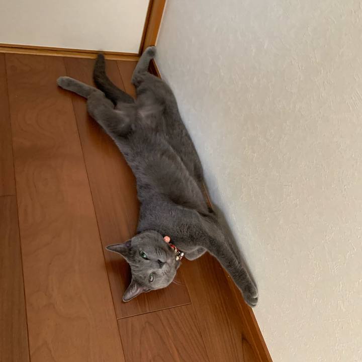 0cc3a511 35aa 4108 9ff6 fd9c93f76141 1598232556542