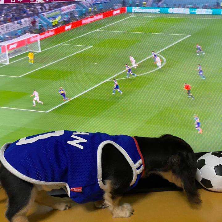 0cc3a910 25c2 4c00 bf60 e600d01b9765 1670257514590