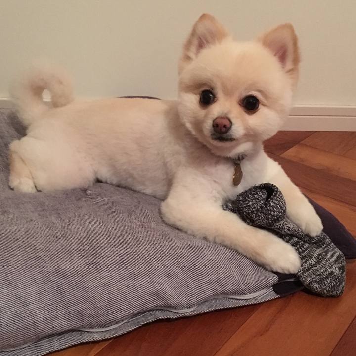 0cc3d6a6 06e8 4119 947e 338fbc81ee9b 1561382105060