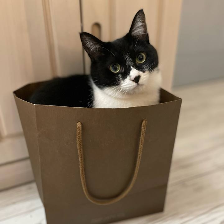 0cc3df03 4584 4805 b86d c3d5e0768ff9 1708222090721