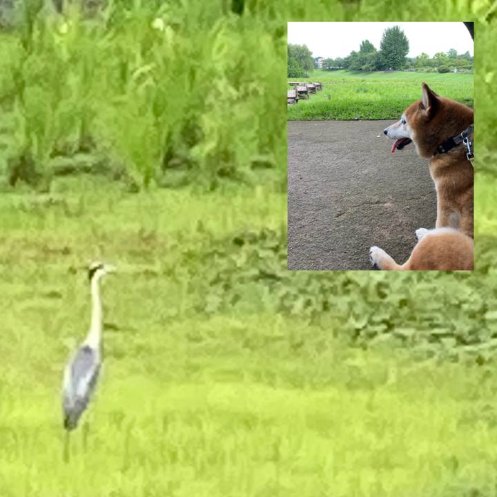 0cc3e5a8 3b6e 4973 8825 5af799072269 1688108538688