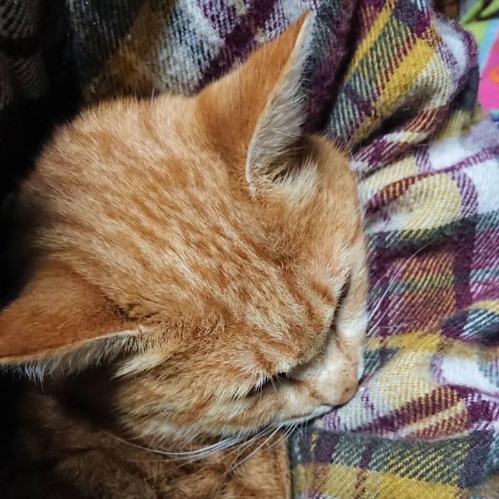 0cc3f16b 41c0 4bcb a761 2b211898c33a 1579467274840