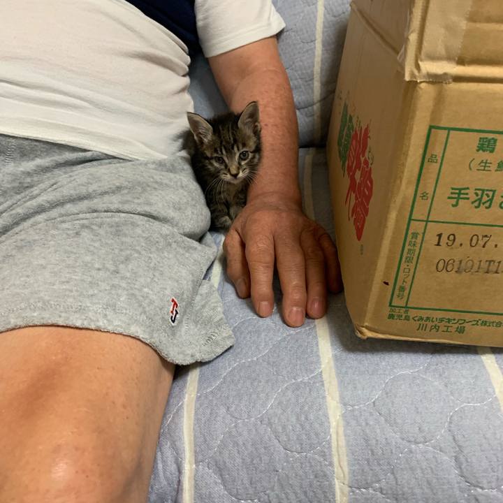 0cc3f463 643c 463a ac58 4d503fe954fa 1564197422899