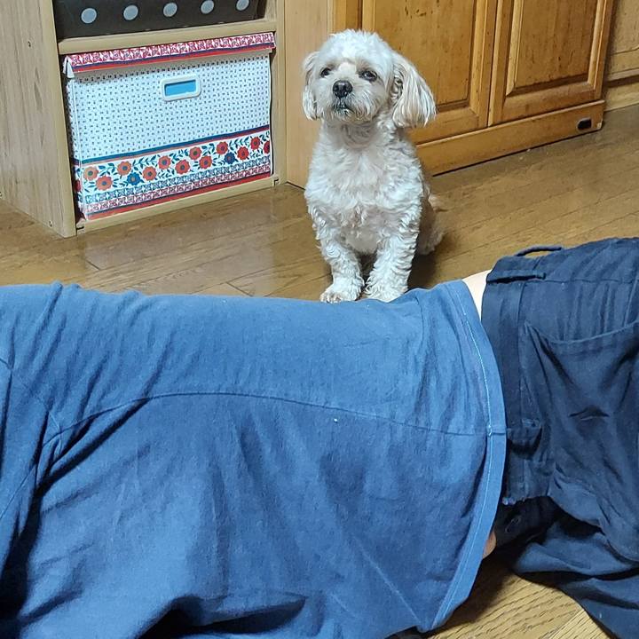 0cc3fbf3 b459 4220 995d 72e834653c5e 1632726849460