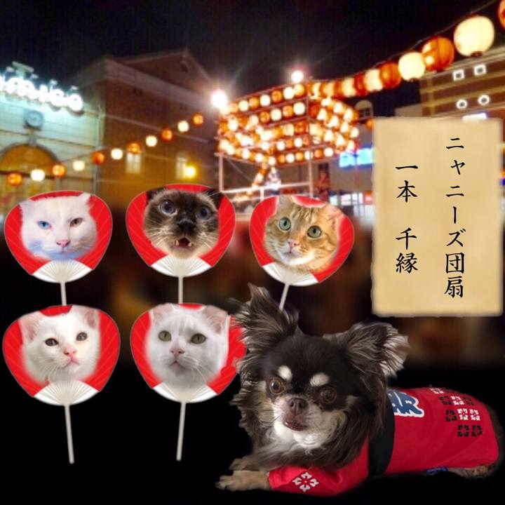 0cc403a2 ff63 4243 9bb0 1d0f90542263 1565612206429