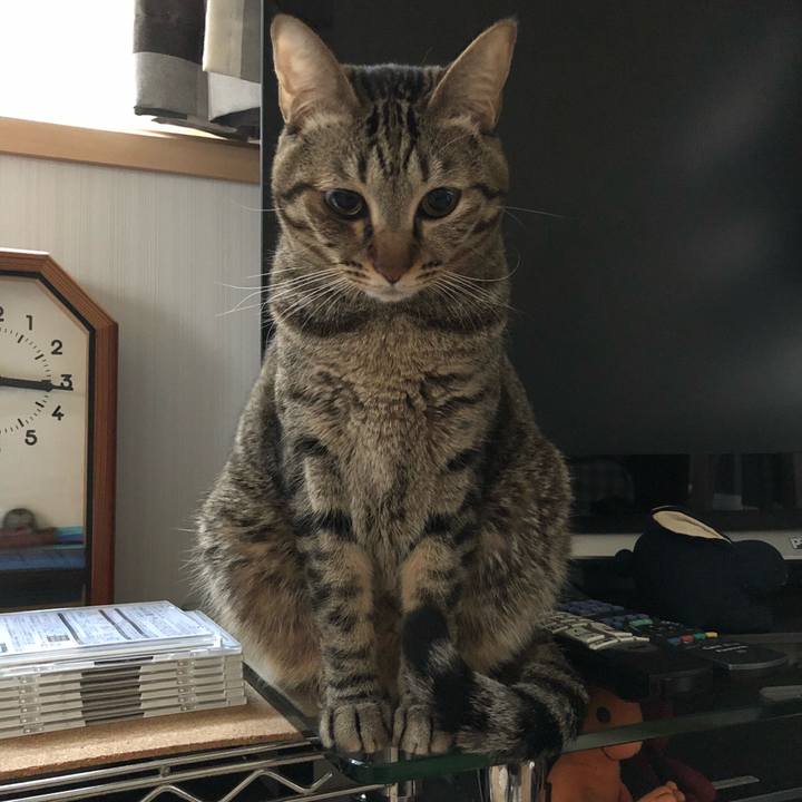 0cc40a59 b8d8 45f8 b1ca 592e84d33e7d 1515684445192