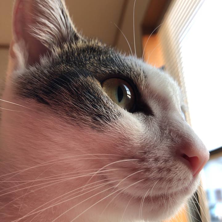 0cc42f50 1434 48ec 8ca1 b882232a6252 1598048169605