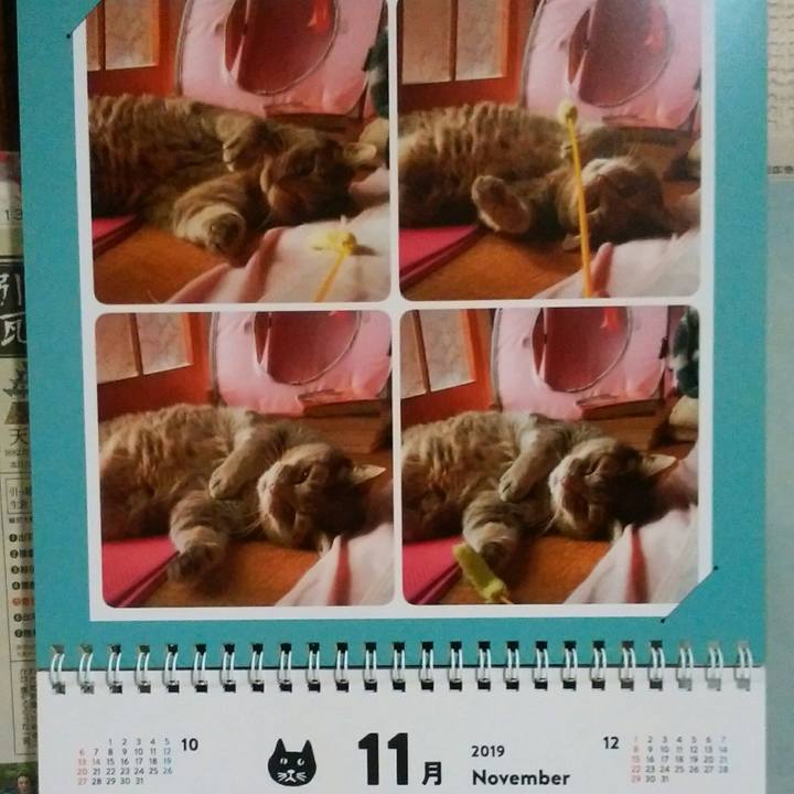 0cc46c91 a526 4412 b59a 6fefda374ab1 1572538150682