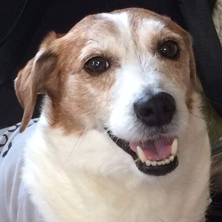 0cc471e5 4d44 4863 987a eda99452ceee 1509717638930