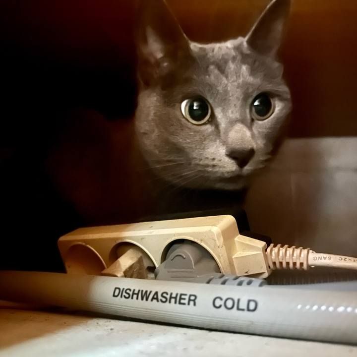 0cc48119 d730 4197 98da 247972d5c501 1706233829577