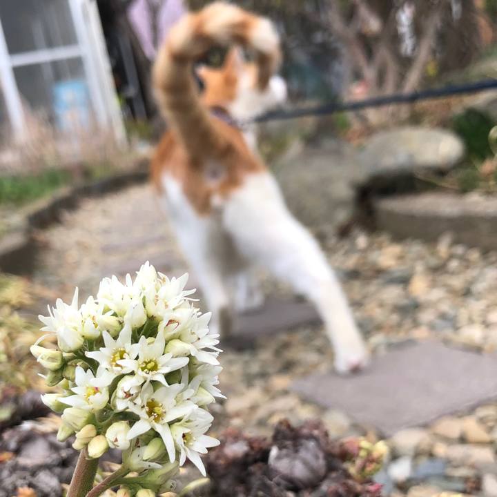 0cc49586 c4f5 4b9f bb55 391711ba9bbd 1554356314059