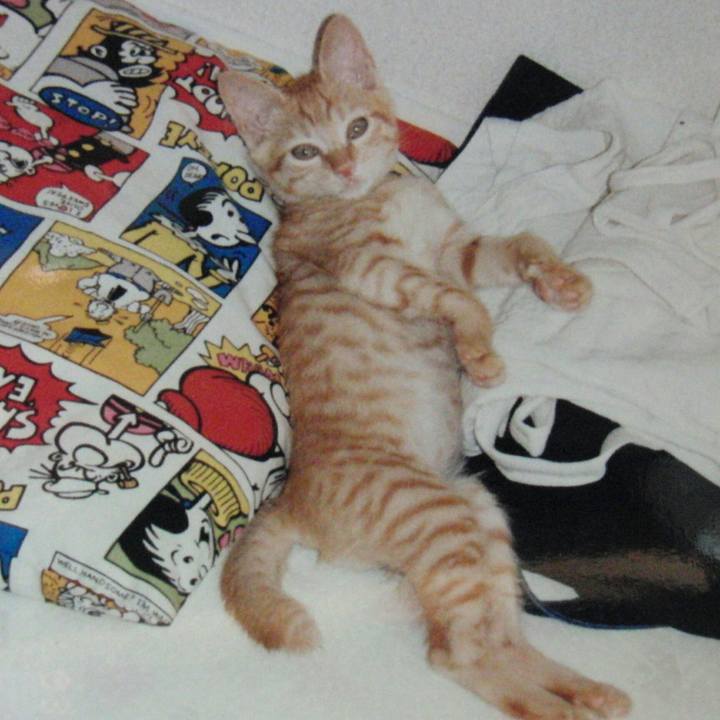 0cc4b41e 6d43 4cf4 b7ca d544c59fb357 1511857706680