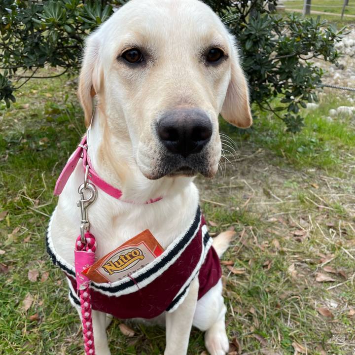 0cc4e062 5bc0 446b 9fea d09cbeb48e0b 1642758197061