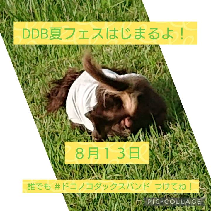 0cc4e1f9 2a47 4c75 b048 b803ed636dc2 1660300466130