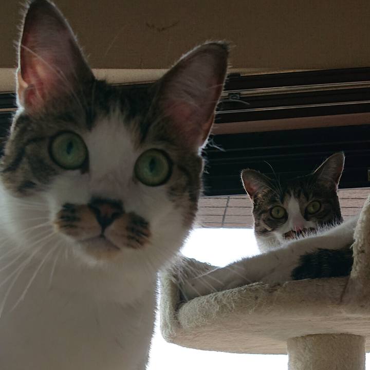 0cc514d6 0b31 4d90 914c 0d9605e78b99 1602634511754