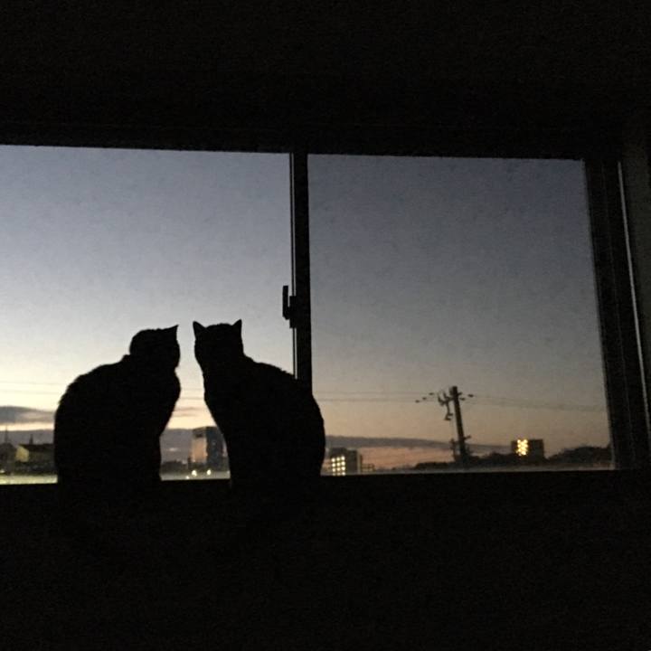 0cc517d8 e8a5 45b5 b9da 048043f804f2 1514811042287