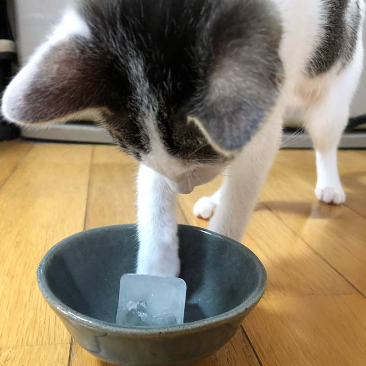 0cc53005 330f 433b bdfe fd40c5baa0fa 1564706714599