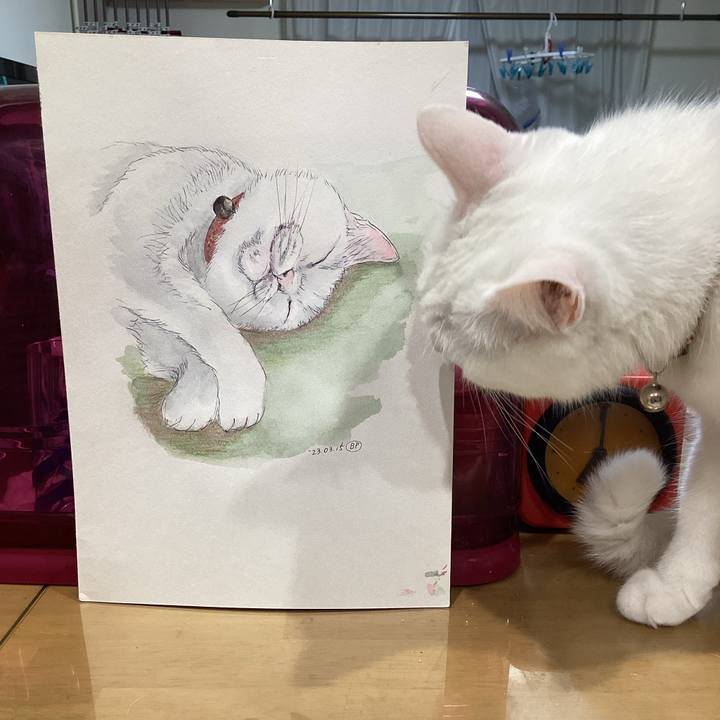 0cc58895 bc29 4c4d 8473 de8282ac689e 1678875265741