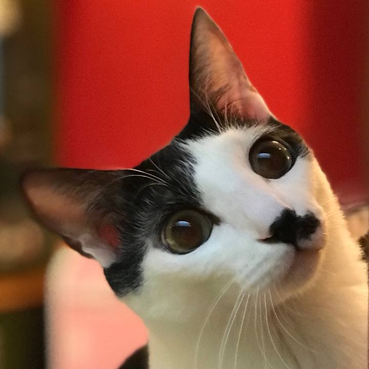 0cc58d6e ed37 460c b098 904c53571b11 1514069840499