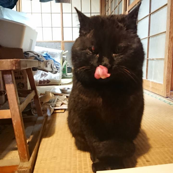 0cc5a3bd 894f 458a 8603 5fdd31aca723 1615723769351