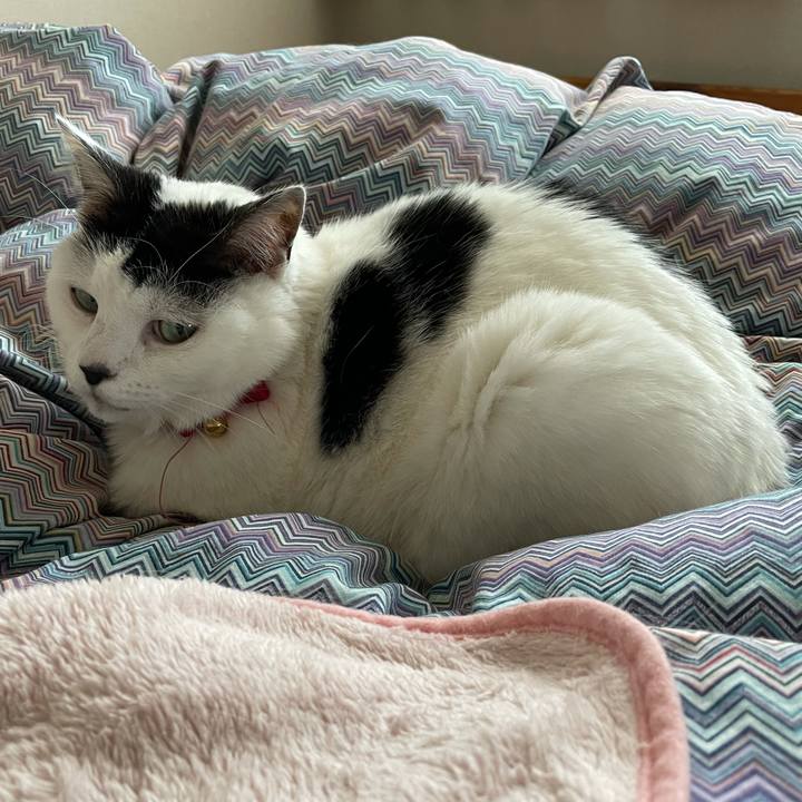 0cc5bdc1 012d 4c94 a87c 7797e6def2fd 1616974107357