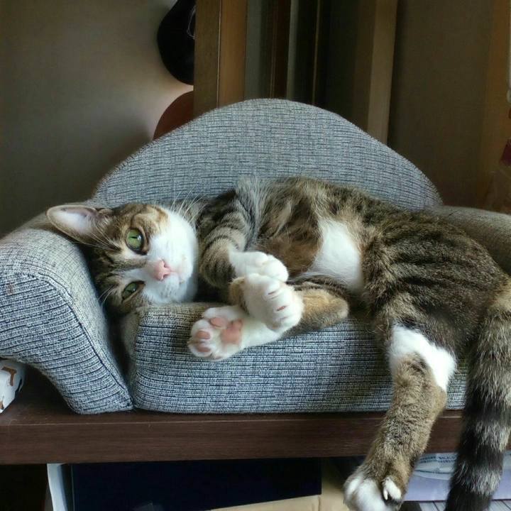 0cc5cbd3 cefa 46a1 af75 60ba93617728 1562549091016