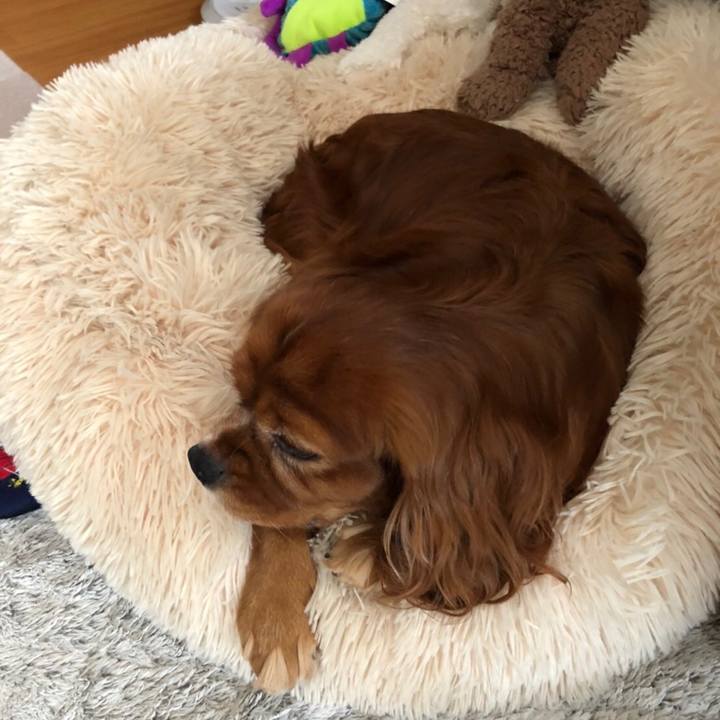 0cc5e787 60f4 4404 ab0b f75370f56abe 1634855266193