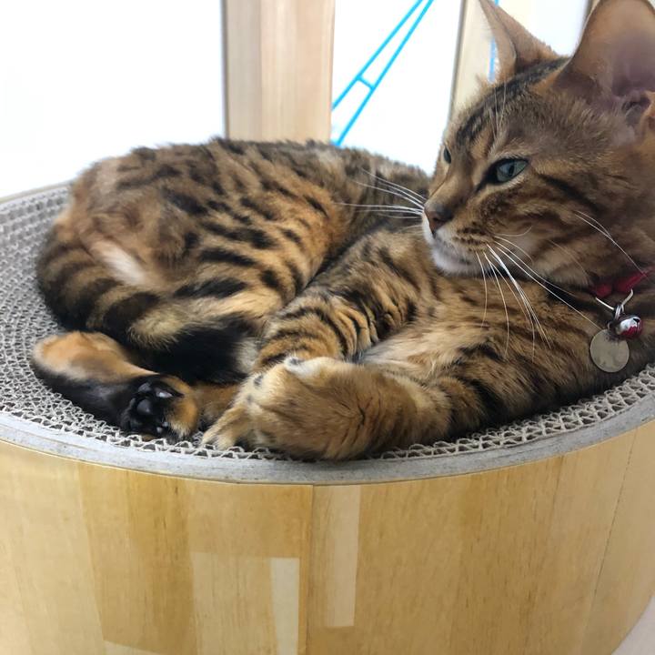 0cc5f380 8a19 46e0 bcf9 90536abe7144 1559661963392