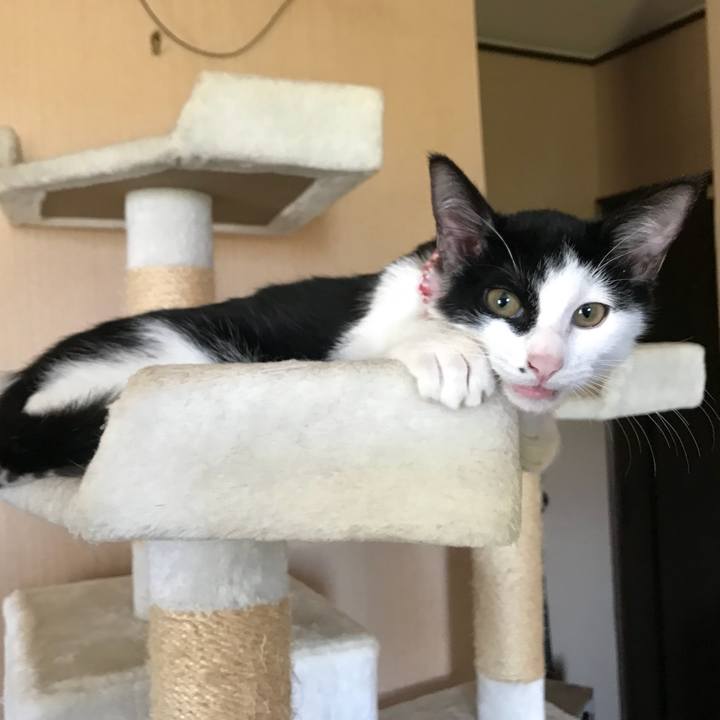 0cc625b7 6053 4284 86b3 cae37c6e8da1 1509506088505