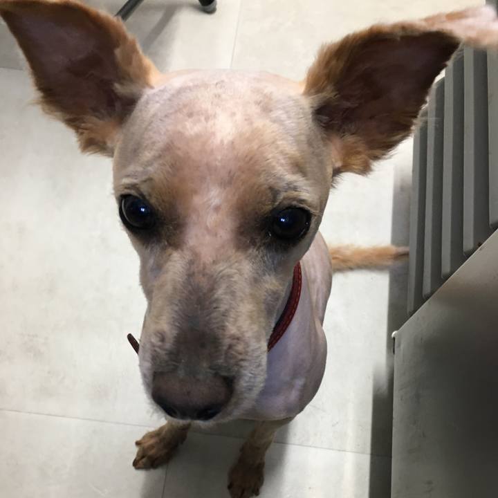 0cc62705 2947 458a a8b2 b4ff64d9d253 1588669020291