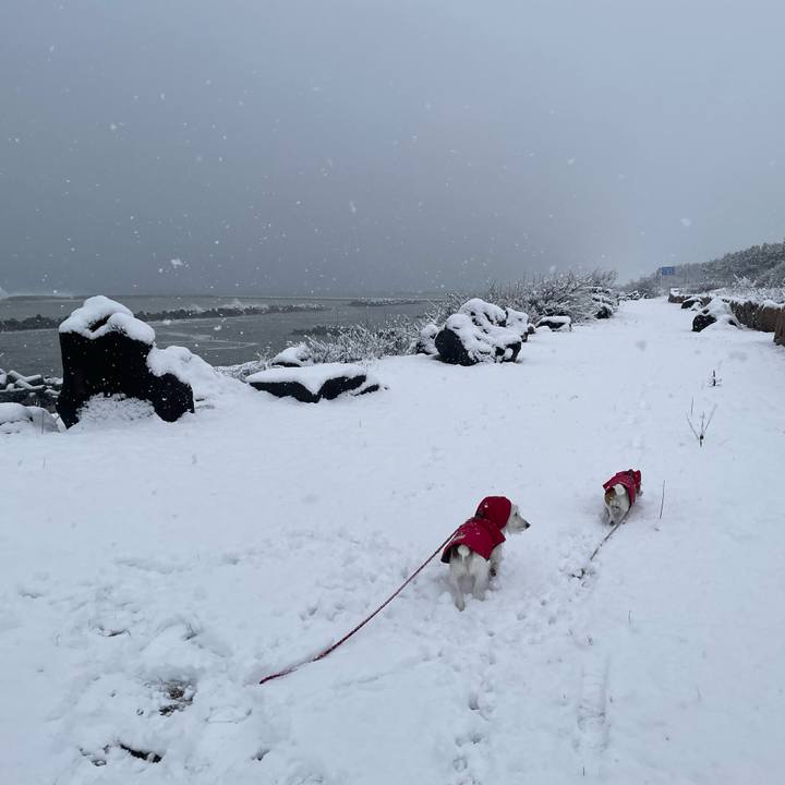 0cc63cba e0af 4705 91c9 74860ab235ec 1735429328992